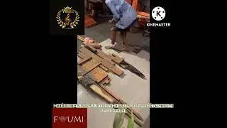FUMILAYO LAFAGE ARTISTE MODÉLISTE BÉNINOISE (1ere partie )