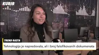 Advokat Ivan Ninic: Falsifikovanje pasoša