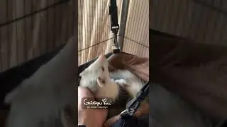 Best Sleep EVER!