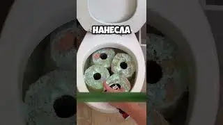Эксперимент с унитазом!