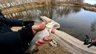 Tele spinning TELE TEN от NANO SPIN MSK Длинный или короткий TeleTen? мормышинг, микроджиг, мухинг?)