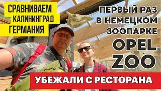 ЗООПАРК в ГЕРМАНИИ  "OPEL ZOO" / ГДЕ ХИЩНИКИ ? / РЕСТОРАН ОТСТОЙ ОДИН ФАСТ ФУД / ИЩЕМ ГДЕ ПОЕСТЬ