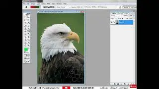 Adobe Photoshop Lesson for beginners Lecture 3 | Urdu