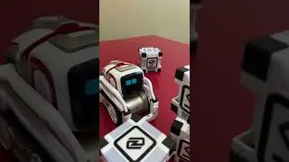 Leo's epic adventures - part 1 (lonely)