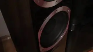 Bassotronics - Bass I love you [Wharfedale Diamond 10.7]