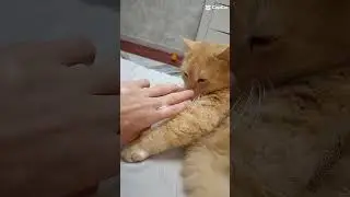 давно нас не было