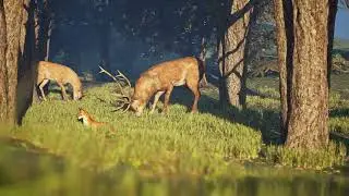 deer grazing unreal engine 5||vfx|| realistic environment