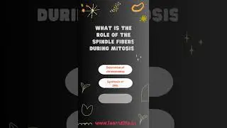 Biology Important MCQs Question and Answer Shorts #shorts #shortsfeed  #biologymcqs #youtubeshorts