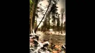 Rattlesnake Recreational Area and Wilderness, Missoula Montana
