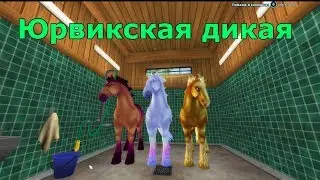 Стар стейбл Юрвикская Дикая лошадь покупка