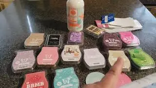 Mid-June Scentsy Empties