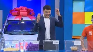 Испытание не для слабонервных! У кого какие фобии?