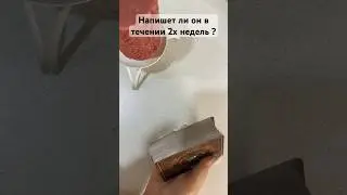 Напишет ли он в течении двух недель ? #music #cover #musica #song #dance #гадание #tarot #magical
