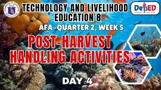TLE 8-AFA, Quarter 2, Week 5, Day 4