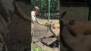 Активный день в Армении