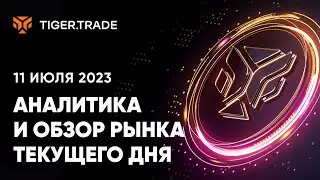 Разбор акций Газпрома, Сбера, фьючерса на пару доллар/рубль с Михаилом Вятским — Tiger.Trade