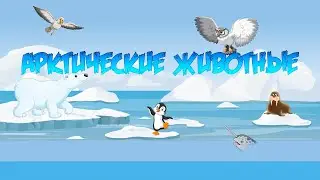 АРКТИЧЕСКИЕ ЖИВОТНЫЕ-названия и звуки животных арктики для детей