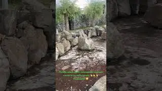 Крепость в Грузии 😍 