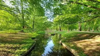 Spring Landscapes [7] [Relaxation Nature Sounds] [Full HD]