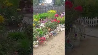 Сказочный сад- огород