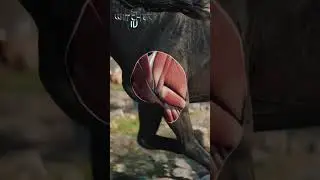 The Witcher 4 — Unreal Engine 5 Tech Demo #2 