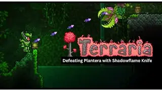 #Terraria