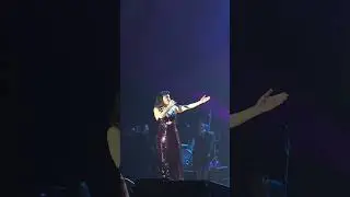 Göksel - Kurşuni Renkler (Live At İstanbul Kongre Merkezi, Şişli, İstanbul / 8 Mart 2024)