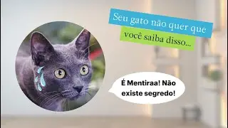 Seu gato não quer que você saiba disso... 👀Use o cupom: TRIGATOS #trigatos #viral #gatosfofos