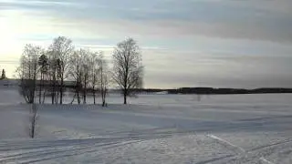 Arctic-Cat