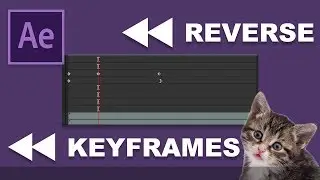How To Reverse Keyframes In Adobe After Effects