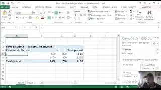 Tablas dinamicas con campos calculados