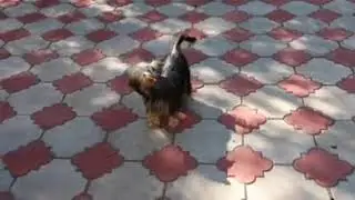 Мама и сын