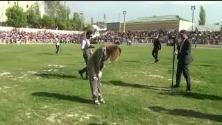 Севинч Муминова севишини айтип хаммани хайрон колдирди