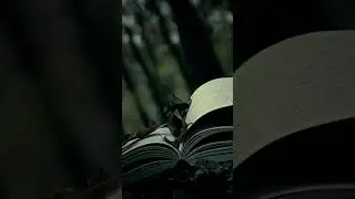 Лайк, подписка, комментарий 😘