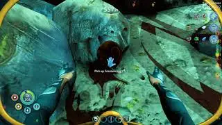 Subnautica Below Zero Finding the Golden Trivalves (And a Blue Trivalve Visual Glitch)