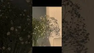 эстетичные картинки 💖🎀 