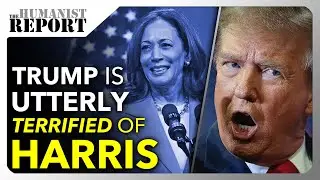 Panicked Republicans Embarrass Themselves Trying to Figure Out How to Attack Kamala Harris
