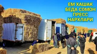 ЧИРОКЧИ СОМОН, БЕДА ПРЕСС ЕМ ХАШАК НАРХЛАРИ 8 ДЕКАБРЬ 2021