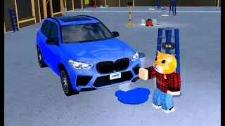 If Cats Retake Their License