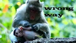 Oh no mum ! Mum comfort Janna by not skill cos put baby in wrong way, why mum doing this 1544