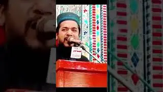 Allama Ata ul Mustafa Rizvi Sab