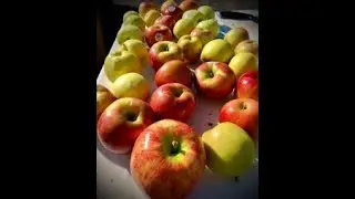 Greg and Patty's Apple Press Weekend 10-3-2020