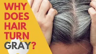 Why Does Hair Turn Gray?