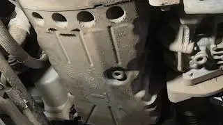 сверчок по имени Дастер