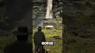 Taming a Legendary Rare Horse in Red Dead Redemption 2