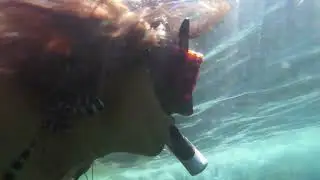 Seguimos en el paraíso, Tabarca