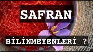 SAFRAN/BİLİNMEYENLERİ (dunyanın en pahalı baharatlarından biri)   #safran #bilinmeyenler