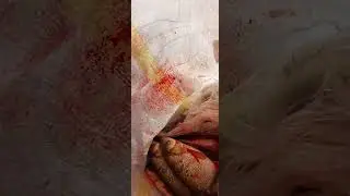 Хорошо отдохнули,порыбачили.