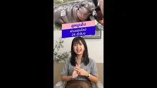 ตอนนี้เราสามารถดูหมูเด้งหรือส่งข้อความหาน้องได้แล้วนะคะ