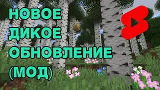 ЭТОТ МОД ДЕЛАЕТ ДИКОЕ ОБНОВЛЕНИЕ 1.19 ЛУЧШЕ!